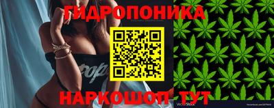 дмт Заводоуковск