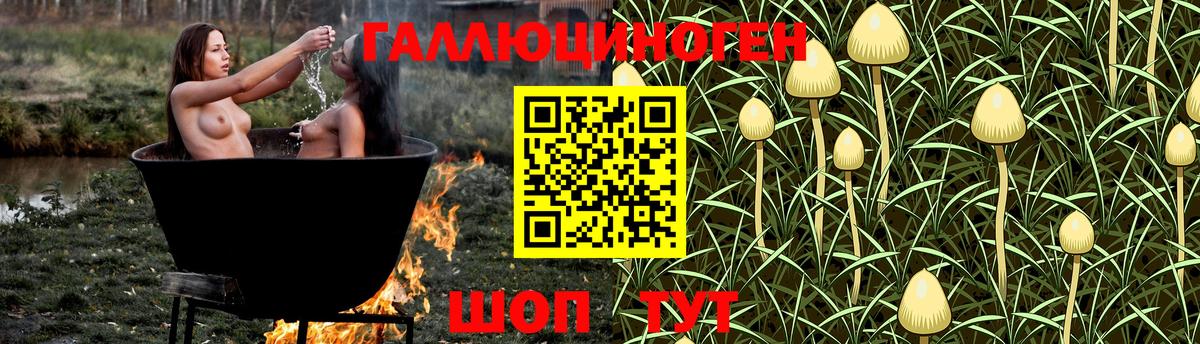 МЕФ кристаллы  АМФЕТАМИН кристаллы  Метамфетамин  ГАШИШ  Мирный  Вход с VPN  МАРИХУАНА  КЕТАМИН  Alpha-PVP СОЛЬ кристаллы  Марихуана  COCAIN 